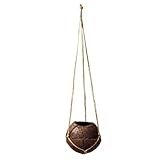 Vaso Kokedama Suspenso 10x11cm Fibra De Coco Natural Flores