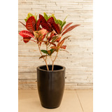 Vaso Planta Coluna Redonda Marmorizada Liso 40x30 C Prato