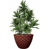 Vaso Planta Cone Diamante Moderno Polietileno P 30x35