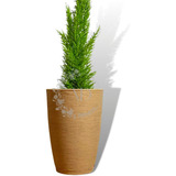 Vaso Planta Polietileno Cone