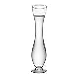 Vaso Solitário 5x19 5 Cm Incolor Luvidarte
