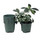 Vasos De Flores De Jardinagem De 14 Cm Pacote Com 10 Forros De Vaso Verde Vasos De Plástico De 1 4 Litro Para Plantas Internas Ao Ar Livre Com Orifícios De Drenagem