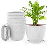 Vasos De Plantas De 15 Cm Pacote Com 6 Vasos De Flores Para Uso Interno E Externo Vasos Com Orifícios De Drenagem E Pires Branco