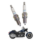 Vela Ignição Harley Davidson Fat Boy 2012