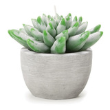 Velas Decorativa Modelo Suculenta Com Cachepot 11cm