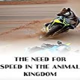 Velocity Unleashed: Exploring The Need For Speed In The Animal Kingdom (part 2) (english Edition)