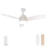 Ventilador De Teto Interno Moderno Warmiplanet De 122 Cm Com Kit De Iluminação LED Integrado E Controle Remoto De Velocidade Ajustável Motor Silencioso