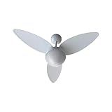 Bivolt
