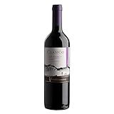 Ventisquero Vinho Classico Syrah Tamanho 750