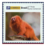 Dourado