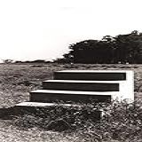 Vera Chaves Barcellos 