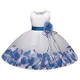 Vestido De Princesa Sem Mangas Com Estampa De Flores, Vestido De Princesa, Vestido De Festa Para Recém-nascidos, Todos Os Vestidos Para Meninas, Azul, 12-24 Meses