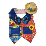 Vestido E Colete Festa Junina Para Cachorros Grandes