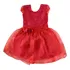 Vestido Festa Infantil Várias Cores Buquê Casamento Bordado