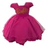 Vestido Infantil Barbie Pink Temático Festa Menina