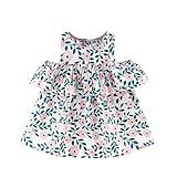 Vestido Infantil Estampado 6m-3y Princesa Floral Bebê Babados Sem Mangas Meninas Vestidos Infantis (rosa, 6-9 Meses)