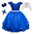 Vestido Infantil Festa Realeza Azul Royal Kit Completo