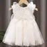 Vestido Infantil Menina Fes Casamento Tule Florido Borboleta