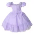 Vestido Lilás Princesa Sofia Luxo Festa E Tiara Frete Gratis