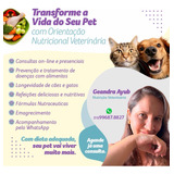Veterinária Nutricionista