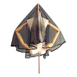 Organza