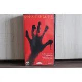 Vhs Anatomia achados