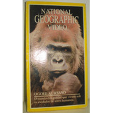 Vhs National Geographic Video O Gorila