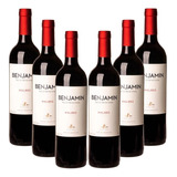 Vinho Argentino Benjamin Malbec 750ml Cx