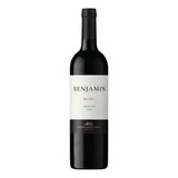 Vinho Argentino Benjamin Nieto Malbec 750 Ml