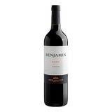 Vinho Argentino Benjamin Nieto Malbec 750ml