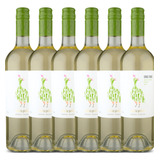 Vinho Argentino Chac Chac