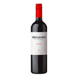Vinho Argentino Malbec Benjamin Nieto 750ml