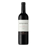Vinho Argentino Tinto Benjamin Nieto Senetiner Blend 750ml