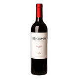 Vinho Benjamin Nieto Senetiner Malbec 750ml