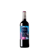 Vinho Espanhol 1860 Roble