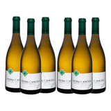 Vinho Pedra Cancela Selecao