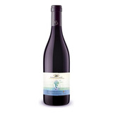 Vinho Português Tinto Club Des Sommeliers Dão Garrafa 750ml