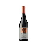 Vinho Tinto Espanhol icaro