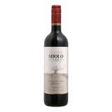 Vinho Tinto Seco Cabernet Sauvignon Merlot Miolo Seleção Adega Miolo Wine Group 750 Ml