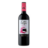 Vinho Tinto Seco Pinot Noir Adega San Pedro Em Garrafa De 750ml Gato Negro
