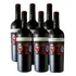 Vinho Viejo Feo Reserva Cabernet Sauvignon 750 Ml Kit Com 6