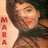 Vinil lp 