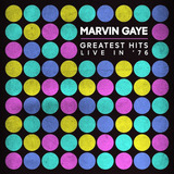Vinil Marvin Gaye