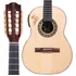 Viola Caipira Elétrica Rozini Signature Tião Carreiro Rv 181