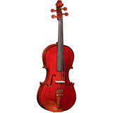 Viola De Arco 4