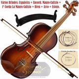 Viola De Arco 41cm Sombreado Brilho Acessórios Brilho Rolim