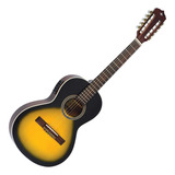 Viola Strinberg Classica Vs25e