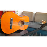 violao crafter