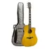 Violão Eletroacústico Aço Waldman Dcex-2041 Com Bag