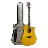 Violao Eletroacustico Aco Waldman